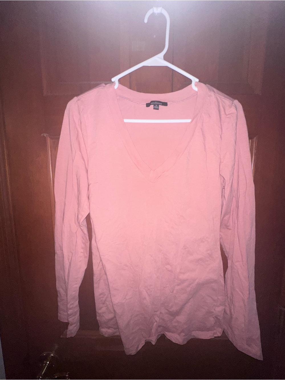 Ambiance Long Sleeve V-Neck Top - Light Pink